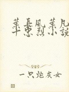 叶长风叶凡一门十忠烈小说名字