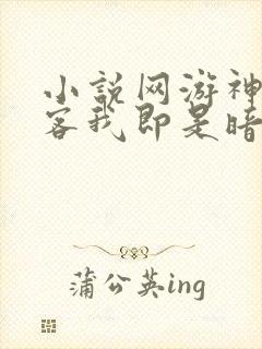 小说网游神级刺客我即是暗影封面