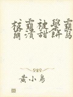 校霸被学霸玩到崩溃甜饼写手