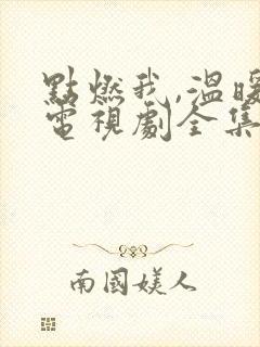 点燃我,温暖你电视剧全集在哪可以看封面