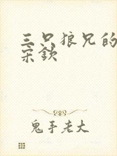 三只狼兄的宠妻宋钦封面