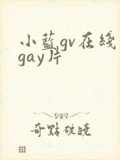 小蓝gv在线看gay片