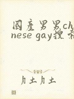 国产男男chinese gay搜索