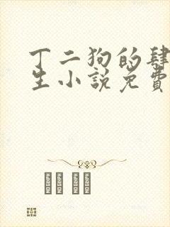 丁二狗的肆意人生小说免费听书