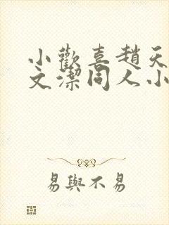 小欢喜赵天昊童文洁同人小说封面