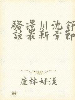 骆璟川沈舒云小说最新章节免费阅读封面