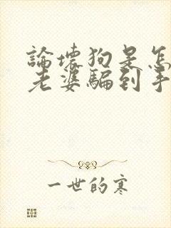 论坏狗是怎么把老婆骗到手的小说by夜