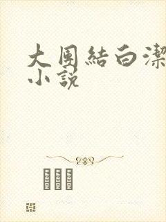 大团结白洁高义小说