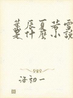 叶辰夏若雪孙怡是什么小说封面