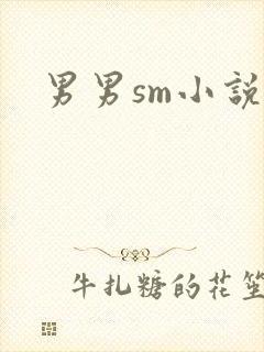 男男sm小说