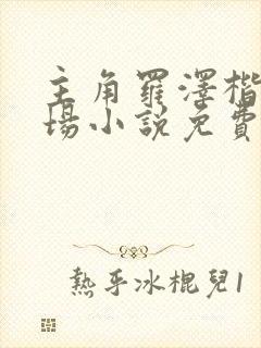 主角罗泽楷的官场小说免费阅读