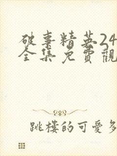 破事精英24集全集免费观看