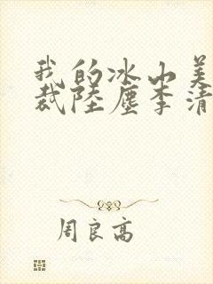 我的冰山美女总裁陆尘李清瑶封面