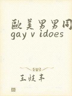 欧美男男同性恋gayⅴidoes