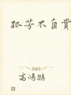 孤芳不自赏小说