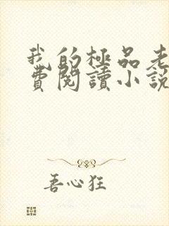 我的极品老婆免费阅读小说封面