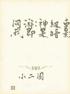 网游:神级刺客,我即是暗影