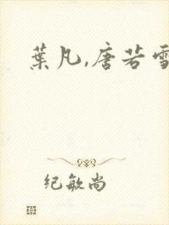 叶凡,唐若雪封面