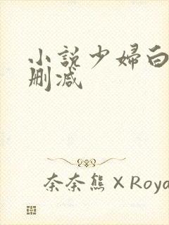 小说少妇白洁无删减