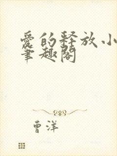 爱的释放小说 笔趣阁封面