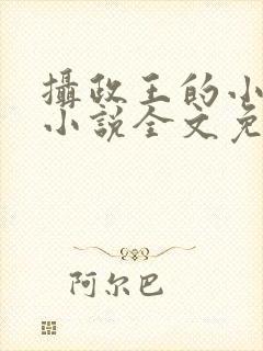 摄政王的小狼妃小说全文免费阅读