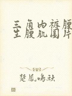 三角内裤腹肌男生腹肌图片