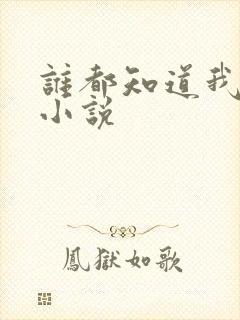 谁都知道我爱你小说