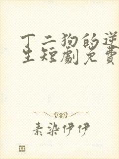 丁二狗的逆袭人生短剧免费