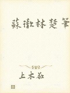 苏彻林楚笔趣阁