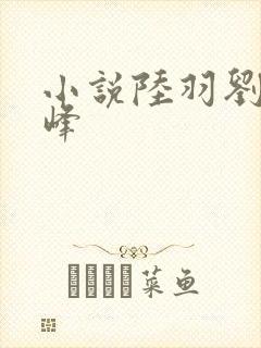 小说陆羽刘云峰峰