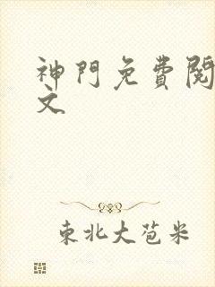 神门免费阅读全文
