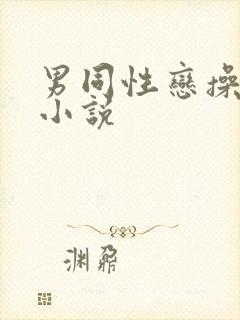 男同性恋操屁眼小说