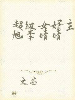 超级女婿主角赵旭李晴晴封面