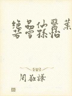 绝品仙医叶辰夏若雪孙怡封面