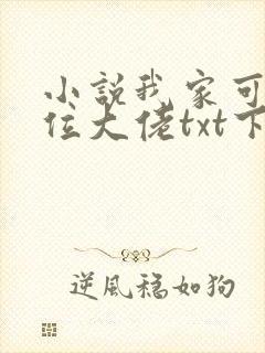 小说我家可能有位大佬txt下载