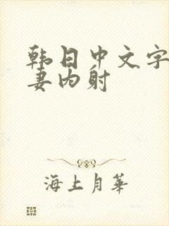 韩日中文字幕人妻内射