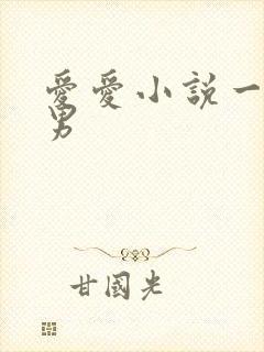 爱爱小说一女多男封面