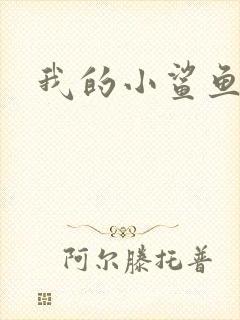 我的小鲨鱼