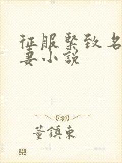 征服紧致名器人妻小说