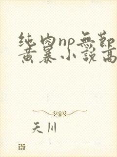 纯肉np无节操黄暴小说高h