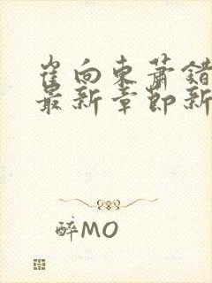 崔向东萧错小说最新章节新笔趣阁