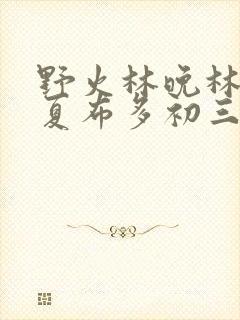 野火林晚林潮生夏布多初三边缘