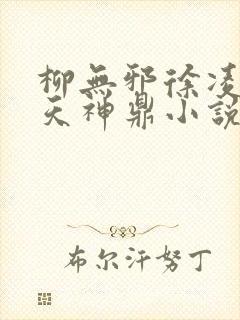 柳无邪徐凌雪吞天神鼎小说