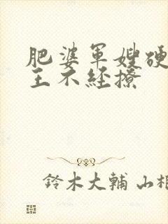 肥婆军嫂硬汉兵王不经撩