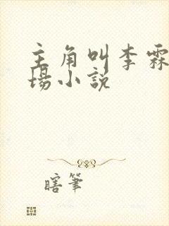 主角叫李霖的官场小说