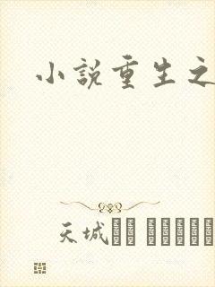 小说重生之官道封面