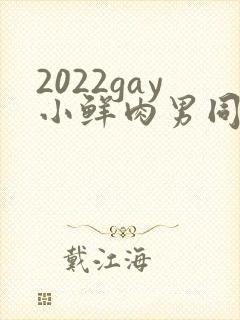 2022gay小鲜肉男同