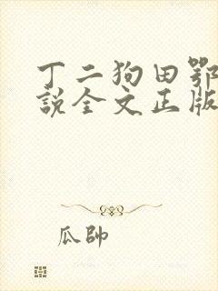丁二狗田鄂茹小说全文正版免费阅读