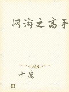 网游之高手寂寞