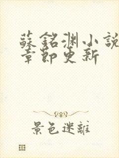 苏铭渊小说最新章节更新封面